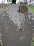 image of grave number 235160